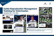 Cattle Reproduction Management Training for Veterinarian
