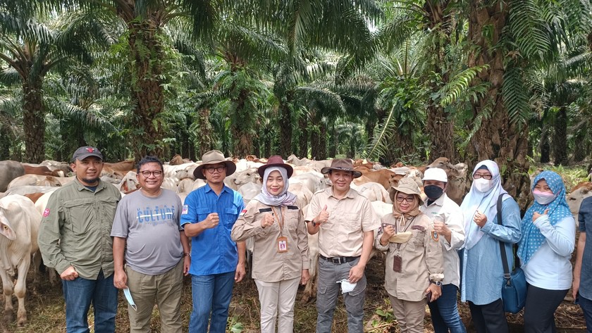 SISKA-SSP staff, the Head of Livestock and Forestry Office of South Kalimantan Province and representatives from the Ministry of Agriculture and the National Research and Innovation Agency