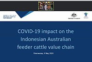 Current Impacts of COVID-19 on the Indonesia-Australia Feeder Cattle Trad