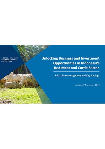 Unlocking Business and Investment Opportunities in Indonesia’s Red Meat and Cattle Sector
