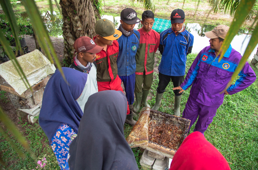 P4S Karya Baru Mandiri trainer providing training to university students and smallholder farmers on the cut-and-carry cattle breeding model