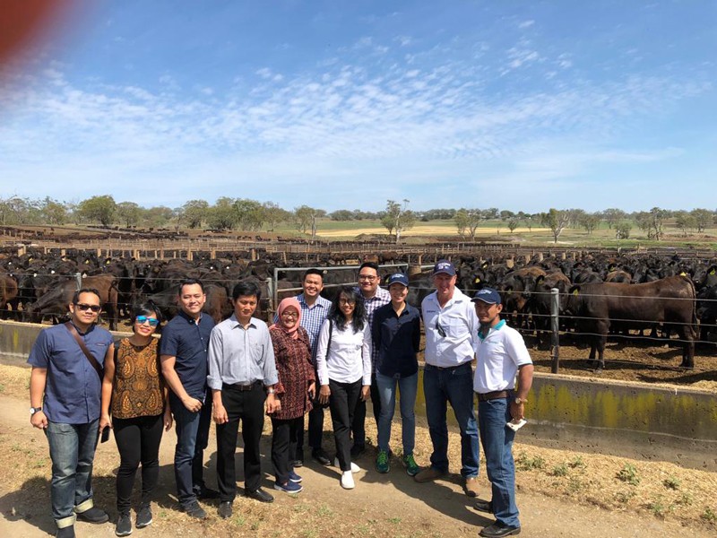 Indonesian delegation visited Harrow Feedlot in Queensland Australia, 17 November 2018